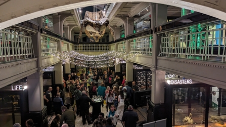 The living worlds gallery at manchester museum, full of Green Spaces Fund winners